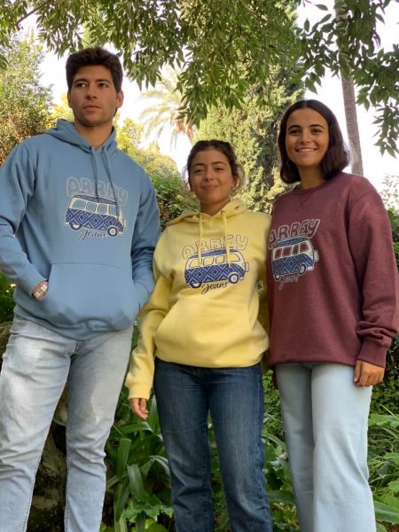 0723 DIAMOND VAN FAMILY